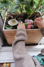 23-253-stastna-vejce-happy-eggs