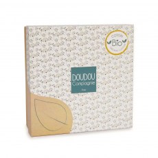 DC3850-panenka-pollen