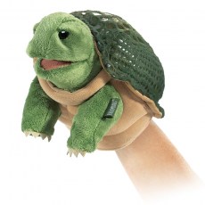 želva malá na ruku