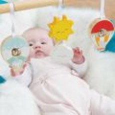 PL111_hrazdicka_baby_Le_Toy_Van_01