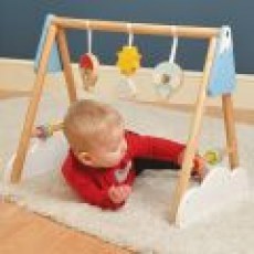 PL111_hrazdicka_baby_Le_Toy_Van_03
