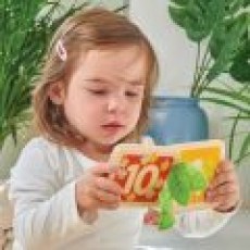 PL114_drevena_knizka_pocitani_Le_Toy_Van_01